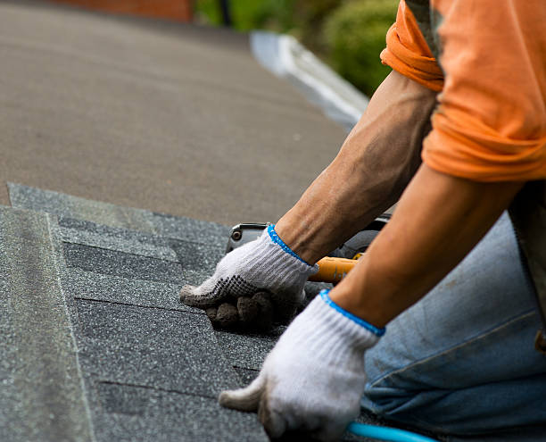 Roof Gutter Cleaning in Dulce, NM